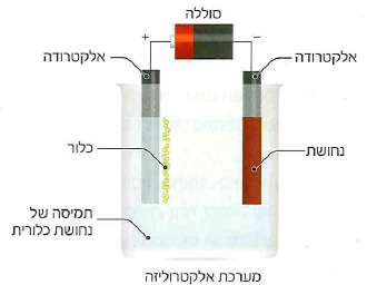 (בספר תמונה, היעזר במנחה)
